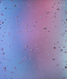 Conquista: como cada signo paquera?