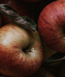 O que a mulher de cada signo mais gosta na cama