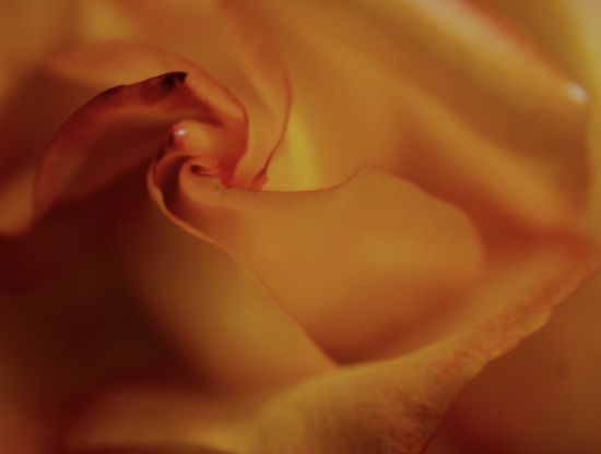 Como se manter segura durante um primeiro encontro