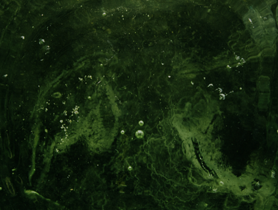 Sinais verdes num aplicativo de relacionamentos