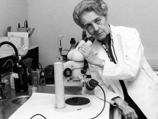 Rita Levi Montalcini: De Neurologista A Senadora - Br.adopte.app