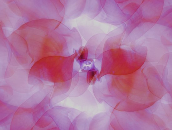 5 benefícios desconhecidos do orgasmo