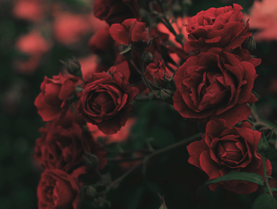 Por que há momentos em que você se sente mais sexy?