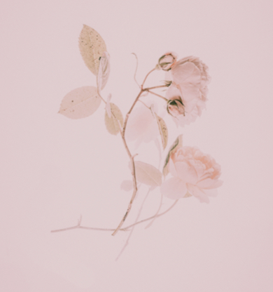 De onde surge nossa necessidade de romantismo?