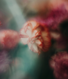 Você sonha com um relacionamento duradouro? Isso vai te surpreender!