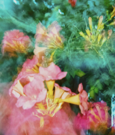 Como dizer “não” no amor sem culpa nem medo