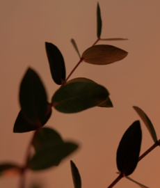 Como sobreviver a uma crise no relacionamento?