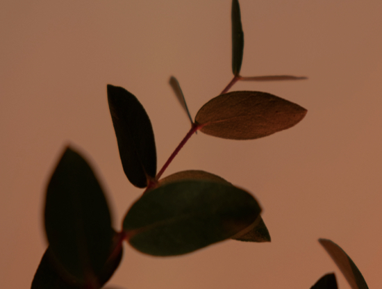 Como sobreviver a uma crise no relacionamento?