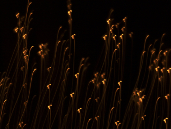 Como lidar com a solidão afetiva nas festas de fim de ano