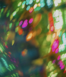 Amores de Natal: encontros e milagres