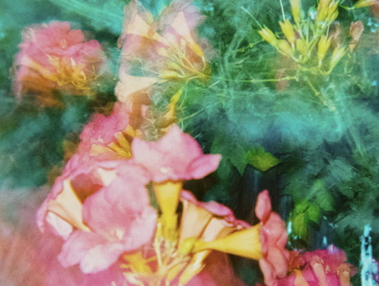 Segredos do amor sem filtro: a arte de amar em tempos reais