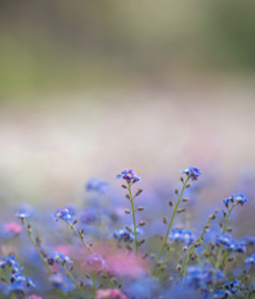 Greta Thunberg: a força de quem começa pequeno e transforma o mundo
