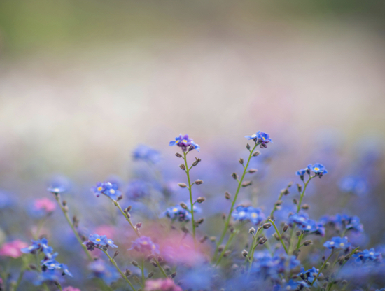 Como começar o ano com mais amor (sem precisar estar em um relacionamento)
