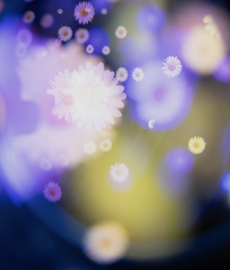 Entre likes, curtidas e mensagens, a nova linguagem do amor