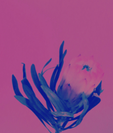 Date solo: como aprender a aproveitar a sua própria companhia?