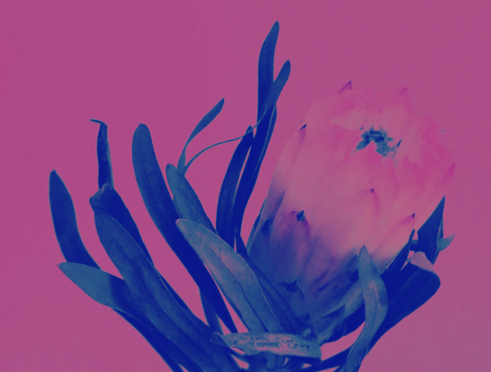 Date solo: como aprender a aproveitar a sua própria companhia?