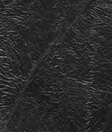 Micro-hábitos amorosos: sinais de que essa é a pessoa certa para você