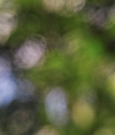 Soft launching: quando o status do relacionamento muda em silêncio